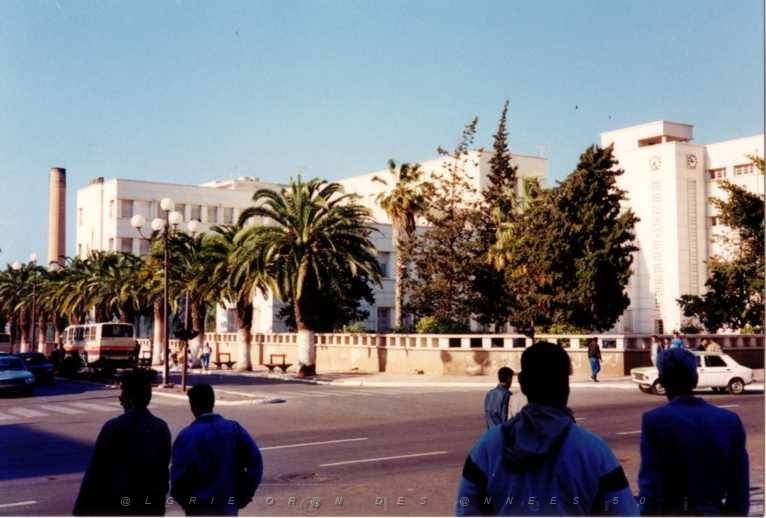 873  1988 CMJF 4.jpg
